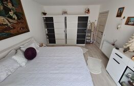 Apartament 2 camere, etaj intermediar, mobilat modern, zona Porii