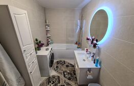 Apartament 2 camere, etaj intermediar, mobilat modern, zona Porii