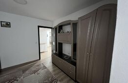 Apartament de 3 camere, 80 mp, gradina, zona Noua 