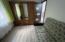 Apartament de 3 camere, 80 mp, gradina, zona Noua 