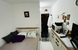 Garsoniera, 11mp, mobilata si utilata, zona Bucium