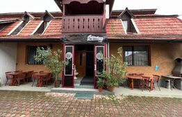  Hotel la cheie, de 1100mp, teren de 700mp, Cornesti