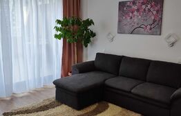 Apartament 1 camera,mobilat modern,terasa, 35mp, zona Piata 1 Mai