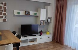 Apartament 1 camera,mobilat modern,terasa, 35mp, zona Piata 1 Mai