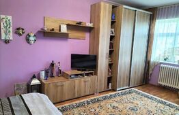 Garsoniera decomandata, 41 mp, in Gruia