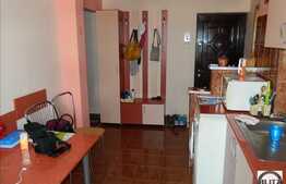 Vanzare apartament 3 camere, decomandat, 64 mp, 1 garaj, zona strazii Dunarii!