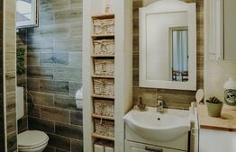 Casa individuala, teren 1160 mp, Dambul Rotund