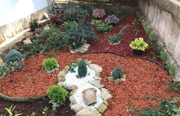 Casa individuala, teren 1160 mp, Dambul Rotund