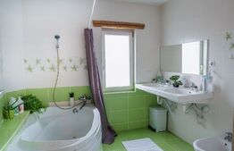 Casa individuala, teren 1160 mp, Dambul Rotund