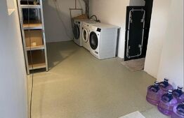 Casa individuala, teren 1160 mp, Dambul Rotund