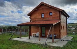 Casa individuala,80 mp utili, 800 mp teren,Tureni,panorama