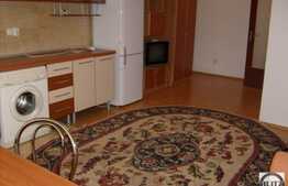 De inchiriat 2 camere, 55 mp utili, 1 loc de parcare, zona Calea Baciului!