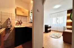Apartament de 2 camere, 30mp, Zona Tractorul 