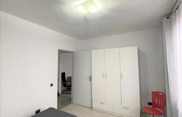 Apartament 2 camere, 50 mp, pet friendly, zona Piata Mihai Viteazu