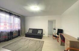 Apartament 2 camere, 50 mp, pet friendly, zona Piata Mihai Viteazu