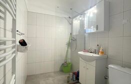 Apartament 2 camere, 50 mp, pet friendly, zona Piata Mihai Viteazu