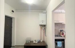 Apartament 2 camere, 50 mp, pet friendly, zona Piata Mihai Viteazu