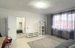 Apartament 2 camere, 50 mp, pet friendly, zona Piata Mihai Viteazu