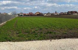 Teren intravilan, 2.000 mp, Stupini