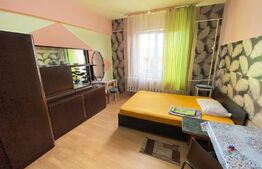 Garsonieră cu pat dublu, renovată, 22 mp, zona Expo Transilvania