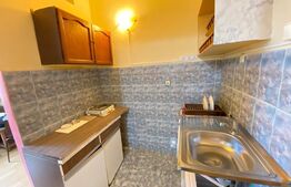 Garsonieră cu pat dublu, renovată, 22 mp, zona Expo Transilvania