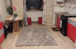 Apartament 2 camere, 45 mp, zona Astra