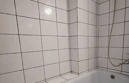 Apartament 2 camere, 60mp, mobilat/utilat, Florilor