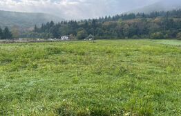 Teren extravilan de vanzare, 10 800 mp , Gilau 