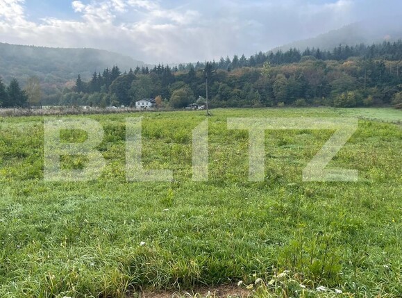 Teren de vânzare Gilău - 97514TV | BLITZ Cluj-Napoca | Poza1