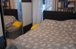 Apartament 2 camere, 45 mp, etaj intermediar, Noua