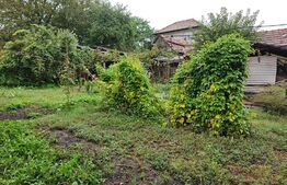 Casa 134 mp, 700 mp teren, Dambul Rotund