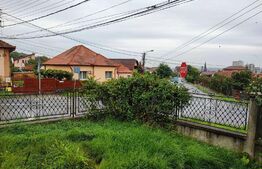 Casa 134 mp, 700 mp teren, Dambul Rotund