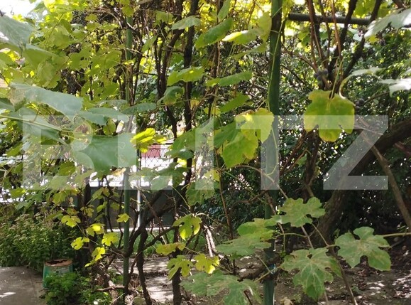 Casa de vânzare 4 camere Dambul Rotund - 97519CV | BLITZ Cluj-Napoca | Poza3