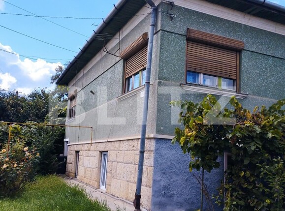 Casa de vânzare 4 camere Dambul Rotund - 97519CV | BLITZ Cluj-Napoca | Poza2