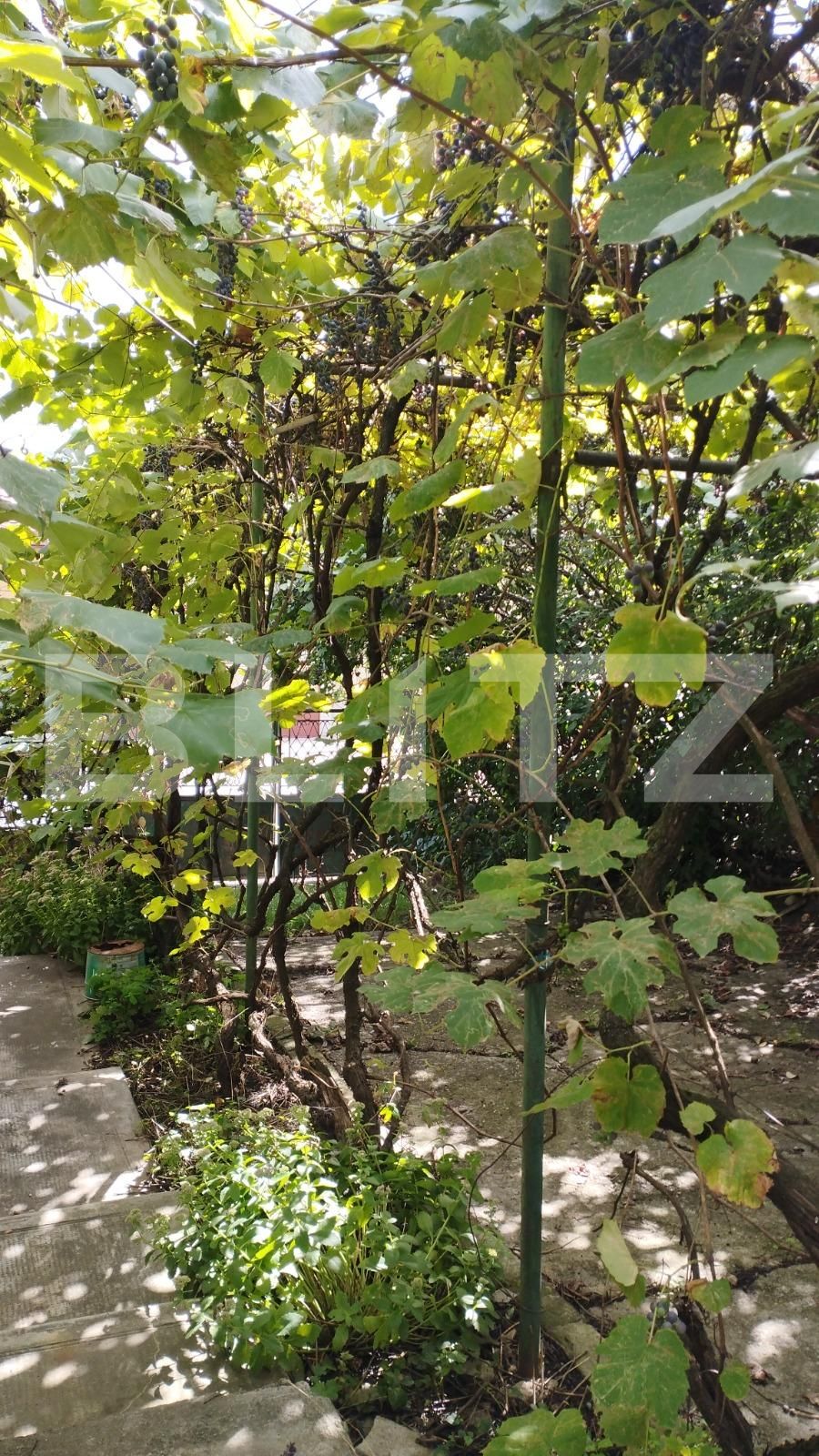 Casa de vânzare 4 camere Dambul Rotund - 97519CV | BLITZ Cluj-Napoca | Poza3