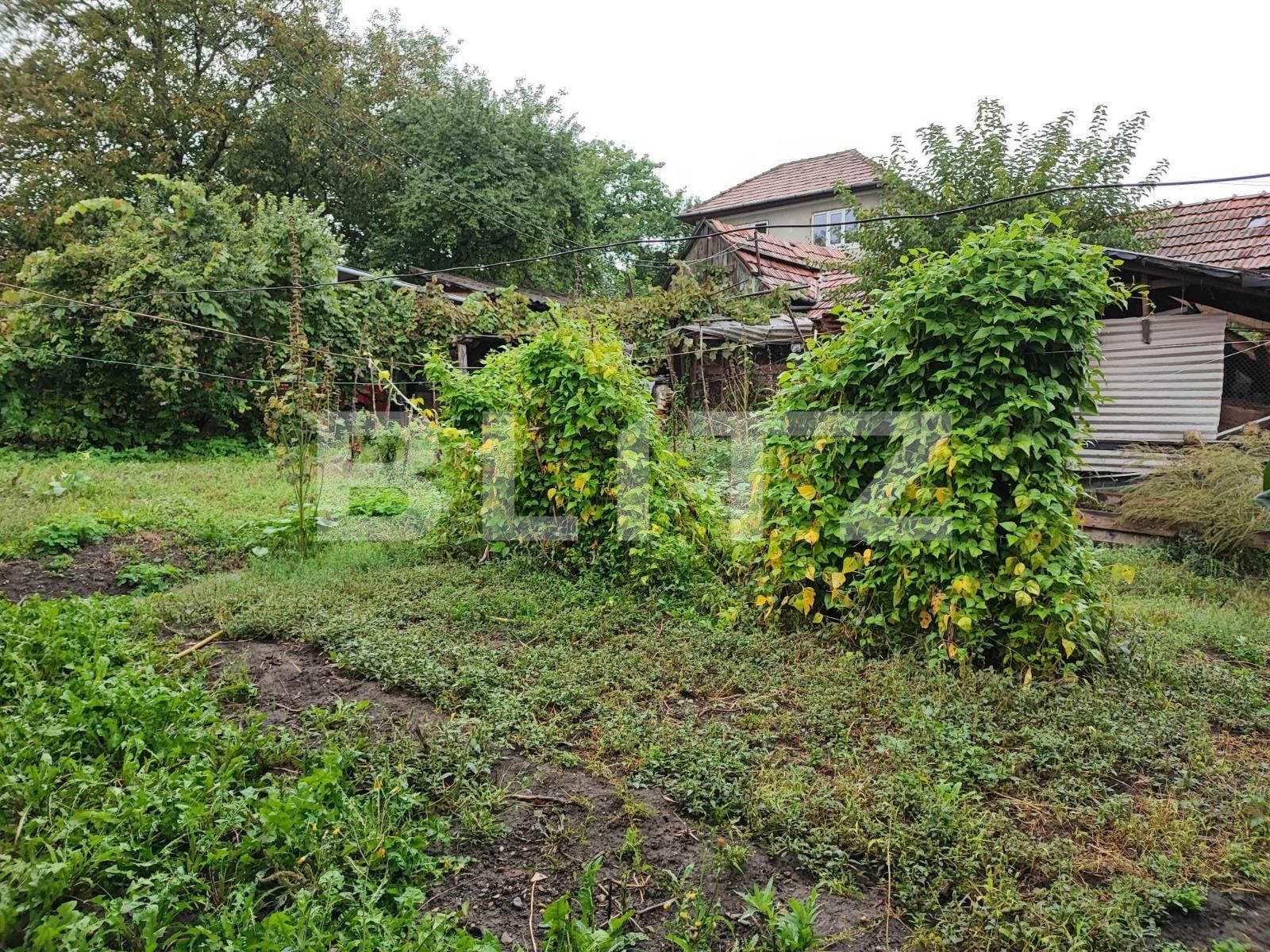 Casa de vânzare 4 camere Dambul Rotund - 97519CV | BLITZ Cluj-Napoca | Poza6