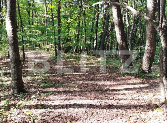 Teren de vânzare Făget - 97541TV | BLITZ Cluj-Napoca | Poza1