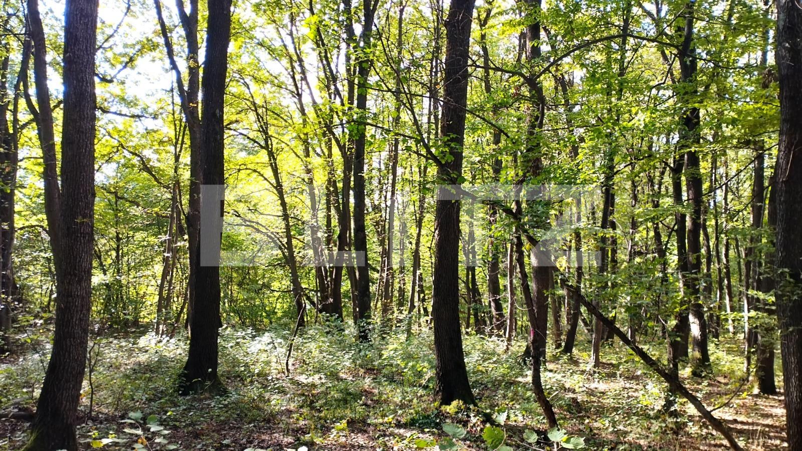 Teren de vânzare Făget - 97541TV | BLITZ Cluj-Napoca | Poza3