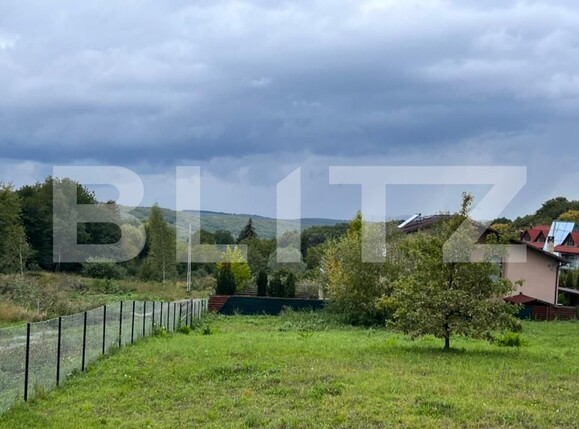Teren de vânzare Făget - 97561TV | BLITZ Cluj-Napoca | Poza2
