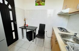 Apartament 2 camere, 56 mp, bucatarie separata, zona Muzeul Apei