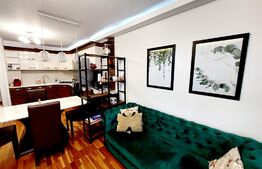 Apartament cochet, 2 camere, 50mp, balcon si debara, Zona Vivo