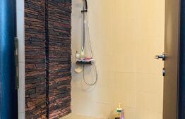 Apartament de 3 camere, 95 mp, garaj, zona strazii Borhanciului