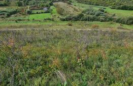 Teren extravilan, 10.000 mp, zona Stejarului