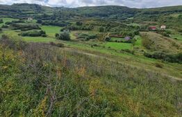 Teren extravilan, 10.000 mp, zona Stejarului