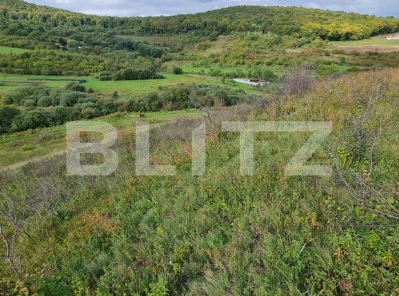 Teren de vânzare Floreşti - 97627TV | BLITZ Cluj-Napoca | Poza2