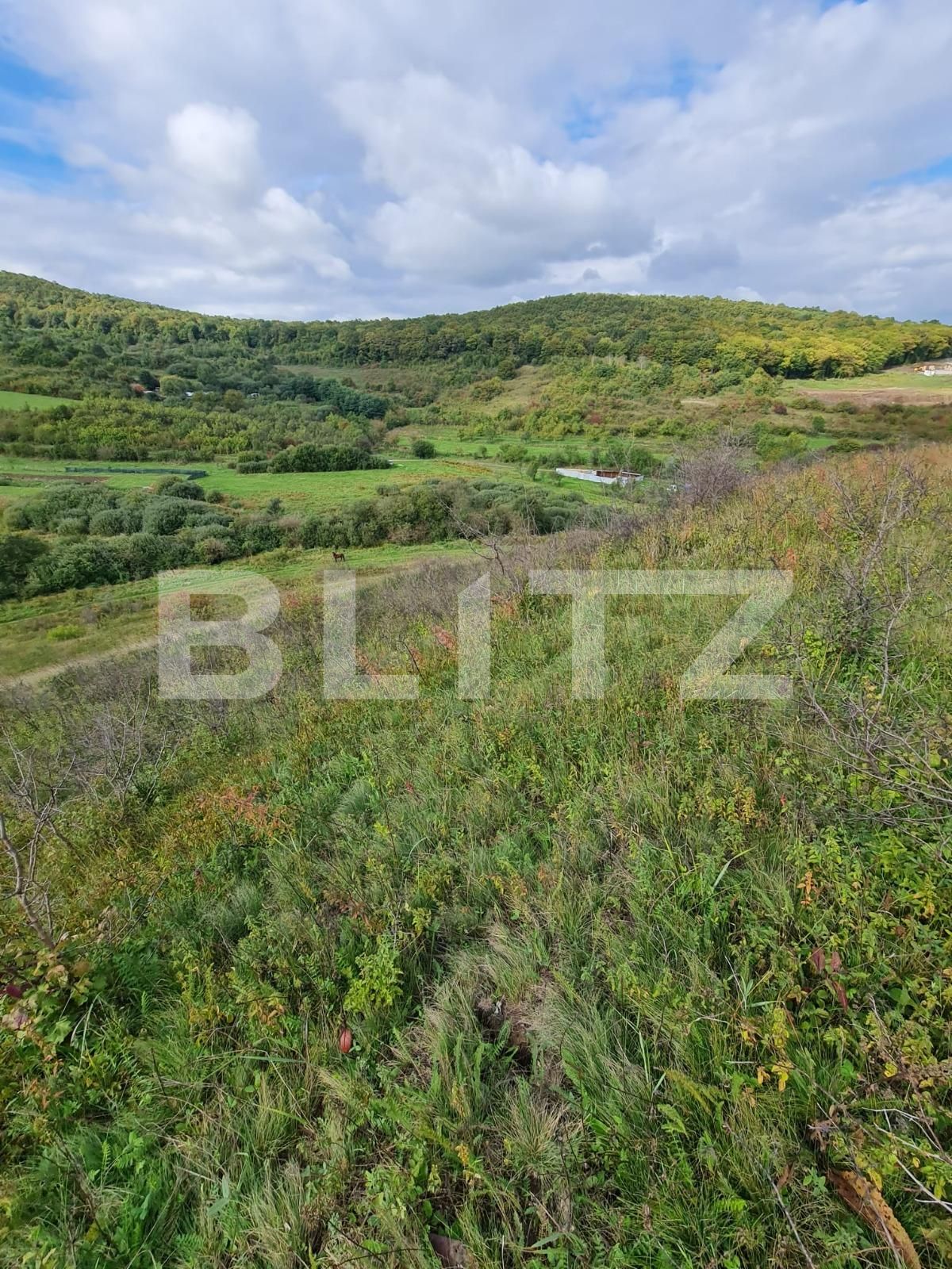 Teren de vânzare Floreşti - 97627TV | BLITZ Cluj-Napoca | Poza2