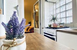 Apartament 2 camere, 41 mp, zona Vlahuta 