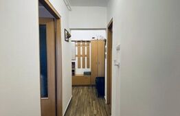 Apartament 2 camere, 41 mp, zona Vlahuta 