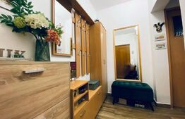 Apartament 2 camere, 41 mp, zona Vlahuta 