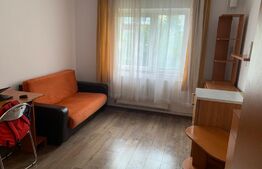 Garsoniera, 15mp, zona Aleea Cioplea 